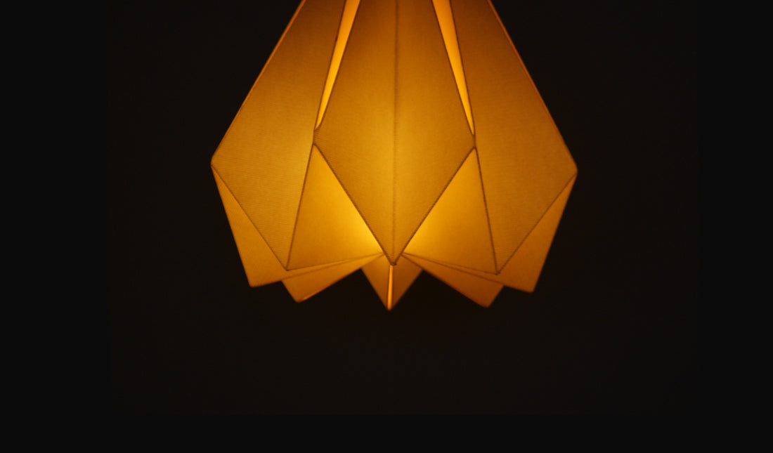 Shop for Origami Lampshade at India Environment Festival, Ahmedabad