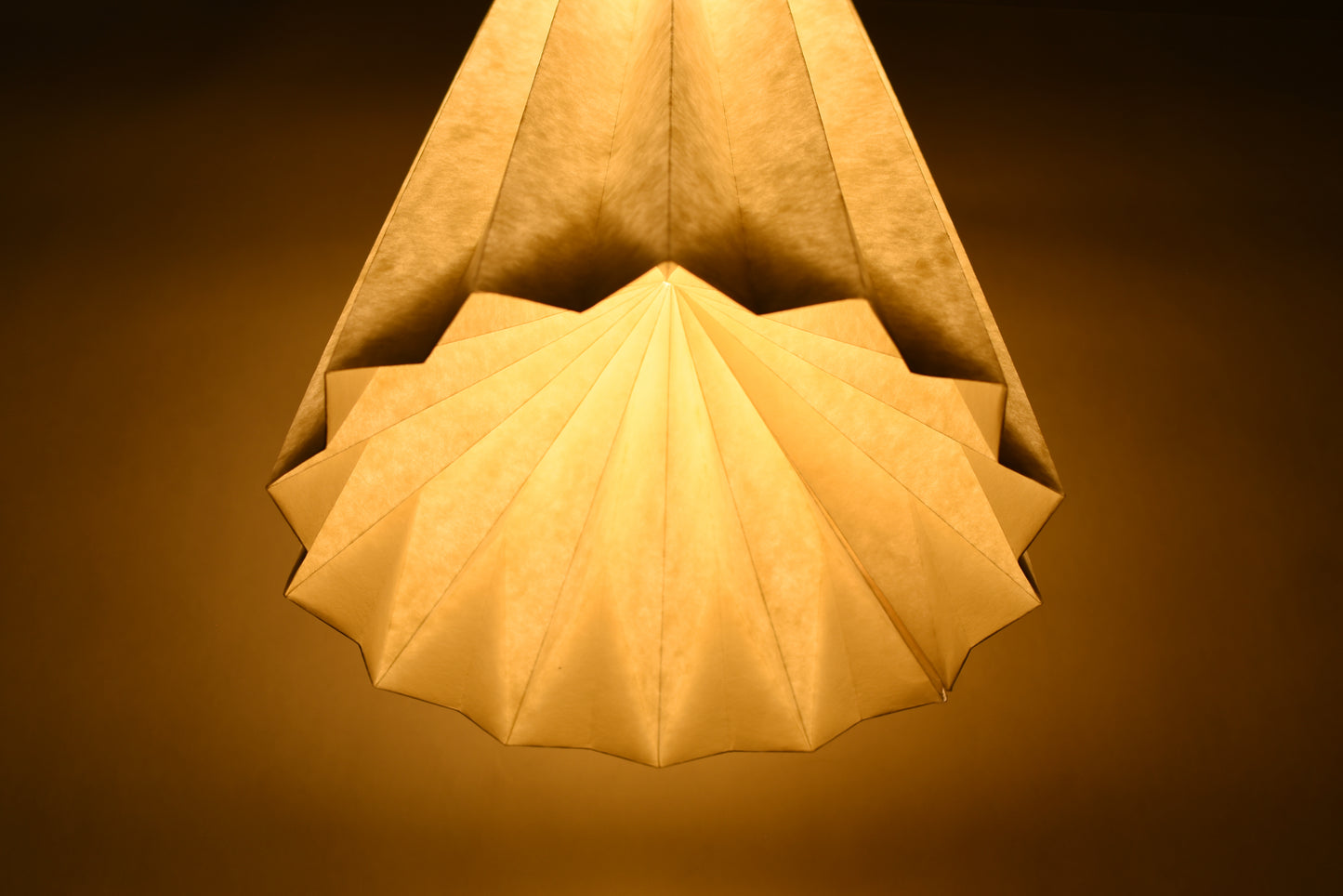 Unique Paper Origami Folding