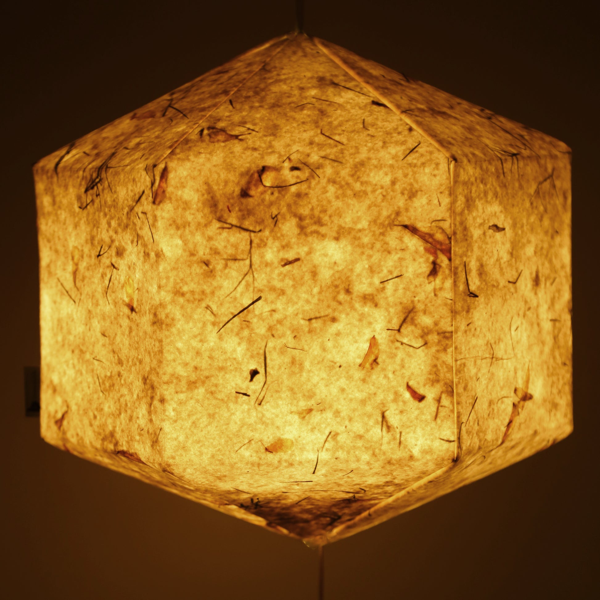 Handmade Paper Lantern DIY HEX Lamp