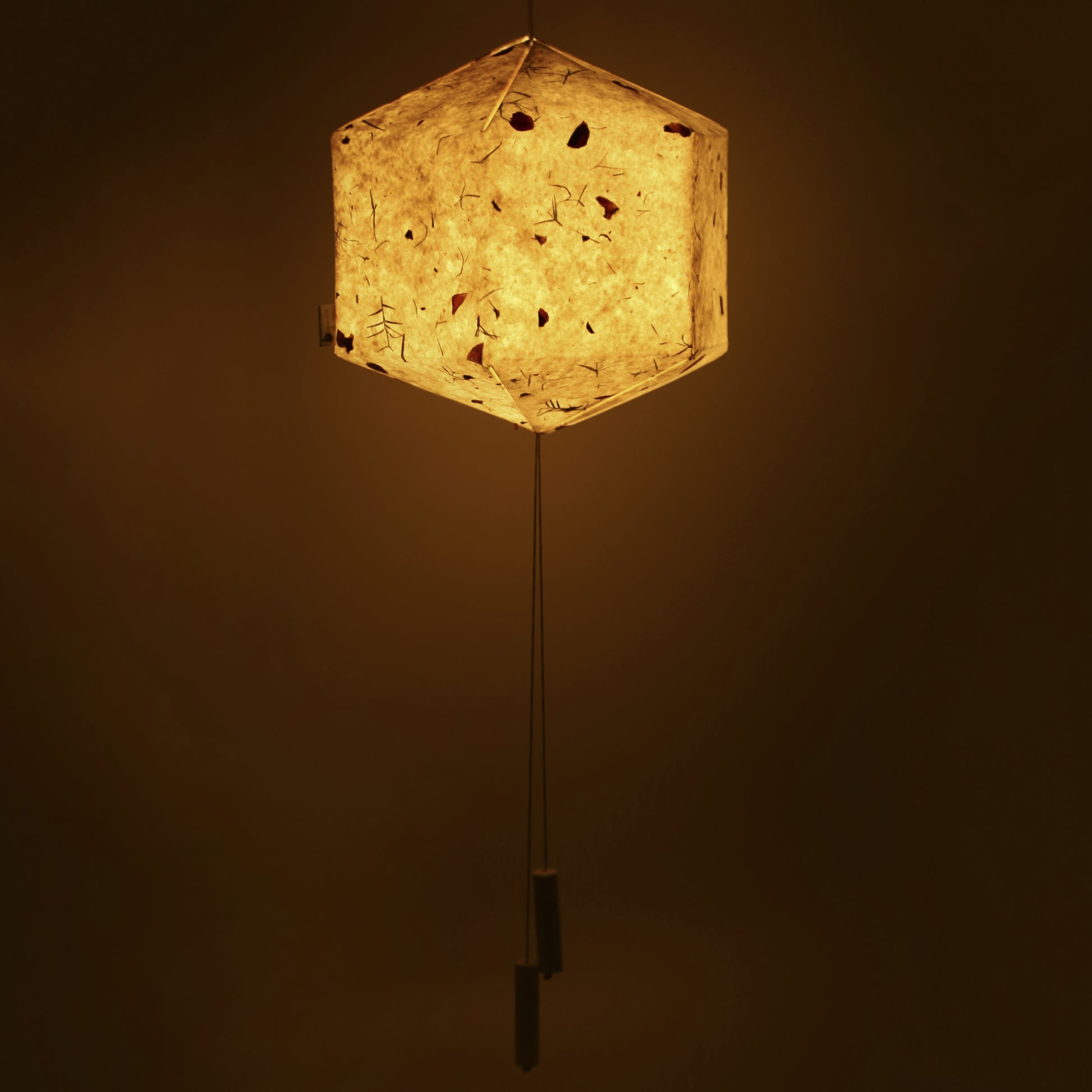 Event decoration party lamps  paper Lanterns shop online